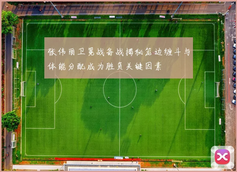 张伟丽卫冕战备战揭秘笼边缠斗与体能分配成为胜负关键因素